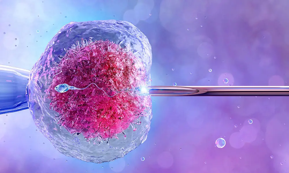 Proceso de fertilidad asistida